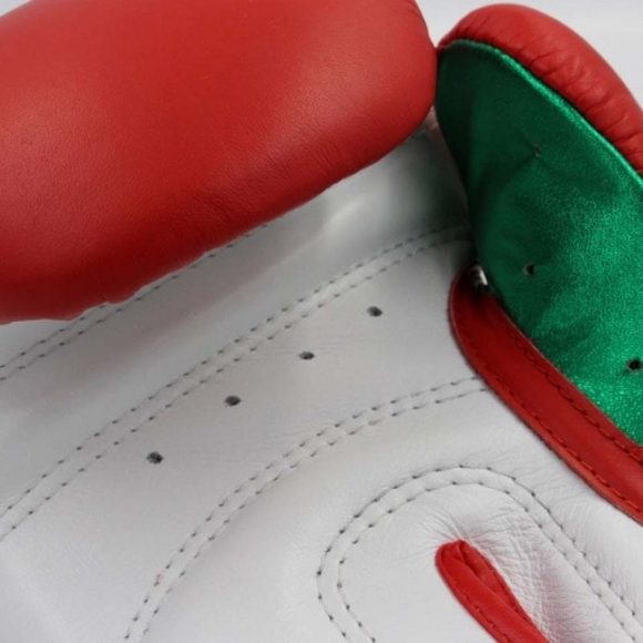 Adidas Speed Pro bokshandschoenen rood groen wit 2