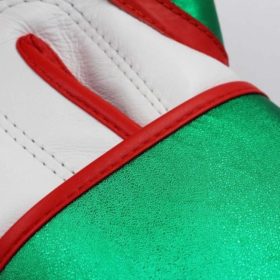 Adidas Speed Pro bokshandschoenen rood groen wit 6
