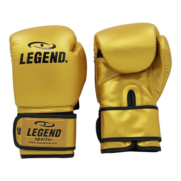 Legend Sports Bokshandschoenen goud powerfit Protect kopen? Fightplaza